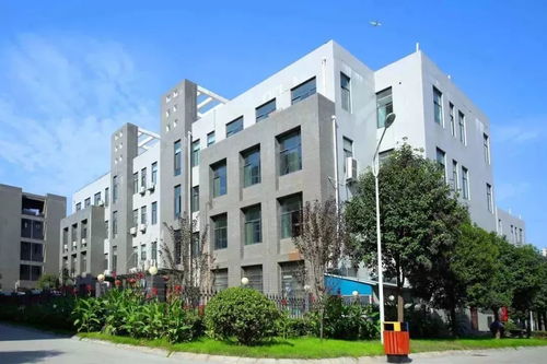 大勢起，觀未來——原創女裝品牌“銘鴻一族”與箱包風尚推薦